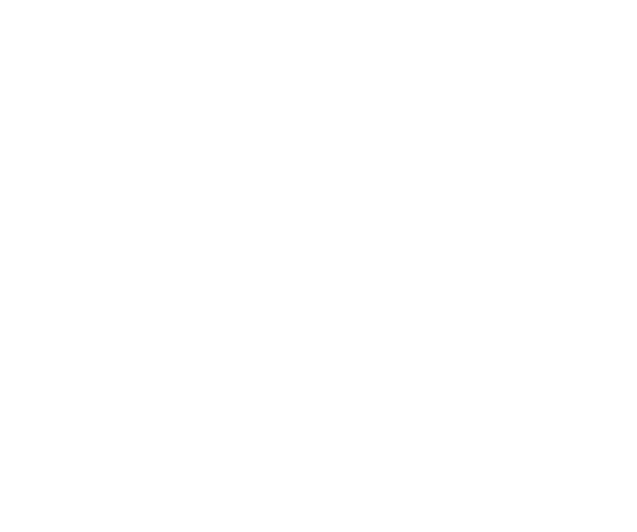 Prendi_Logotype_white_full